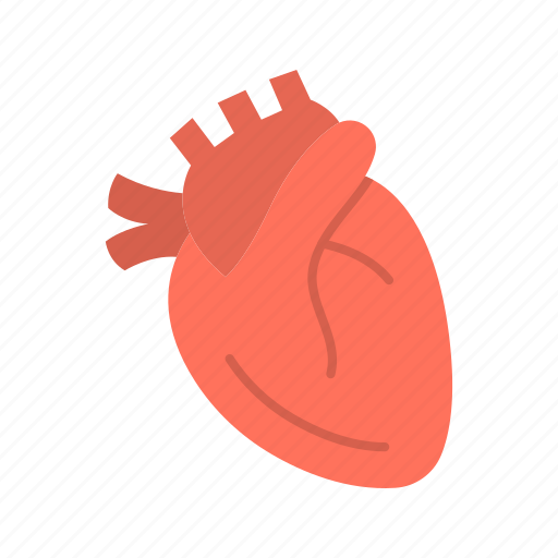 Cardiology, pulse, heart, ecg icon - Download on Iconfinder