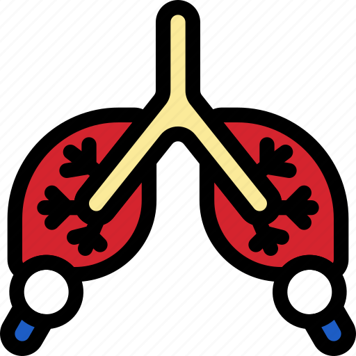 Checkup, examine, check, anatomy, organ, lung, lungs icon - Download on Iconfinder