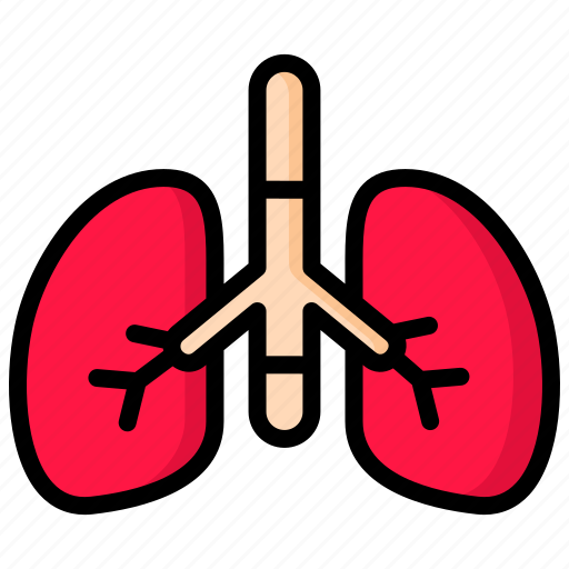 Hospital, lungs, organs, healthcare, medical icon - Download on Iconfinder