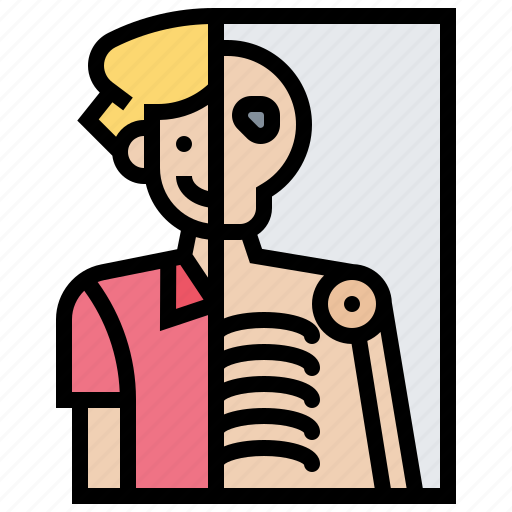 Bones, diagnosis, patient, radiation, xray icon - Download on Iconfinder