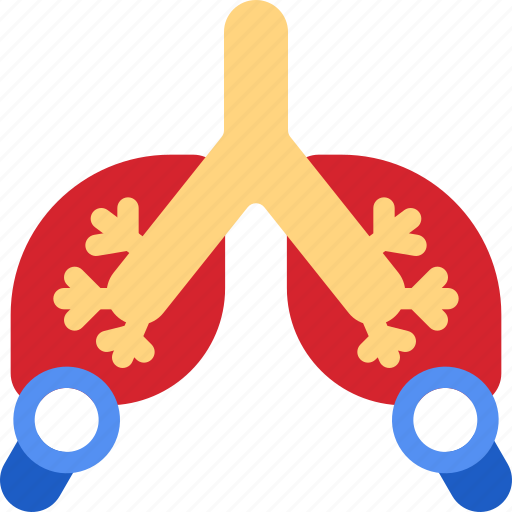 Checkup, examine, check, anatomy, organ, lung, lungs icon - Download on Iconfinder