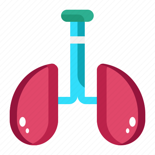 Anatomy, check up, health, hospital, lungs, medical, organ icon - Download on Iconfinder