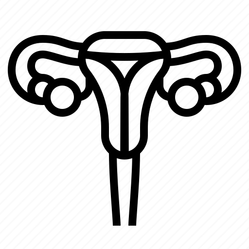 Female, medical, reproductive, uterus, woman icon - Download on Iconfinder