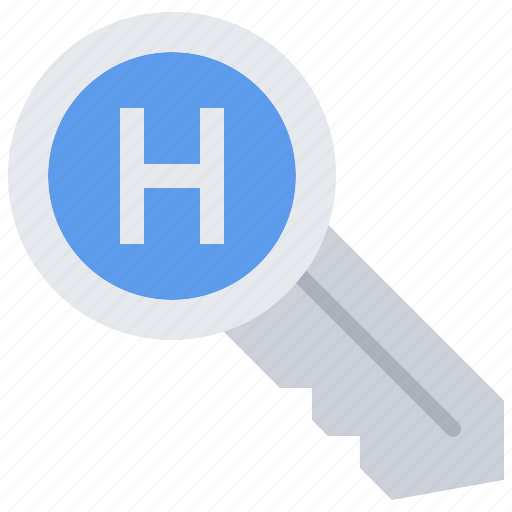 Key, hotel, travel icon - Download on Iconfinder
