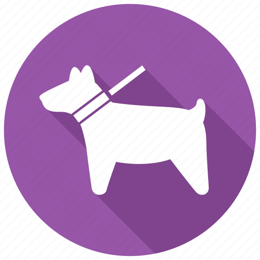 Pet, animal, dog icon - Download on Iconfinder on Iconfinder