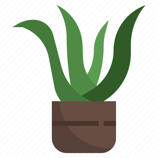 Aloe, vera, plant, pot, farming, gardening, medical icon - Download on Iconfinder