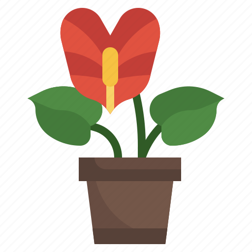 Anthurium, plant, nature, botanic, gardening icon - Download on Iconfinder