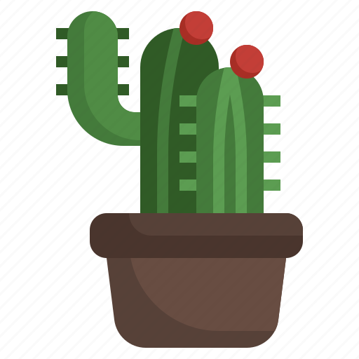 Cactus, plant, dessert, botanical, dry icon - Download on Iconfinder