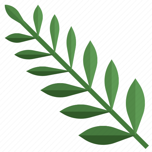 Fern, botanic, plant, nature, vase icon - Download on Iconfinder