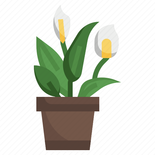 Peace, lily, flower, plant, farming, gardening icon - Download on Iconfinder