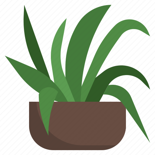 Spider, plant, farming, and, gardening, garden, plants icon - Download on Iconfinder