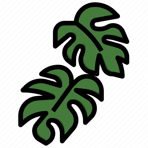 Monstera, leaf, plant, nature, flower icon - Download on Iconfinder