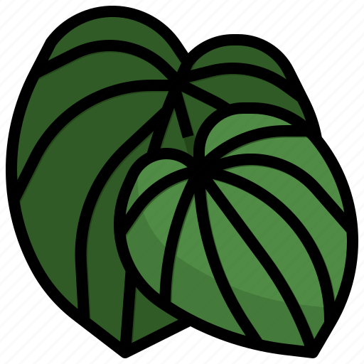 Peperromia, plant, botanic, gardening, nature icon - Download on Iconfinder