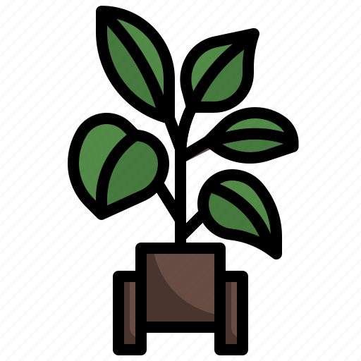 Rubber, plant, pot, gardening, tree, nature icon - Download on Iconfinder
