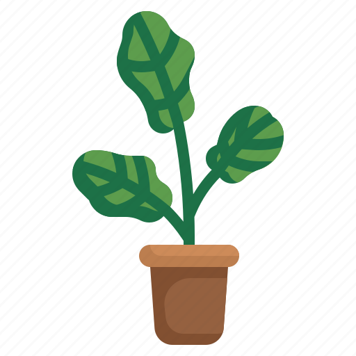 Fiddle, fig, autumn, ficus, plant, farming, and icon - Download on Iconfinder