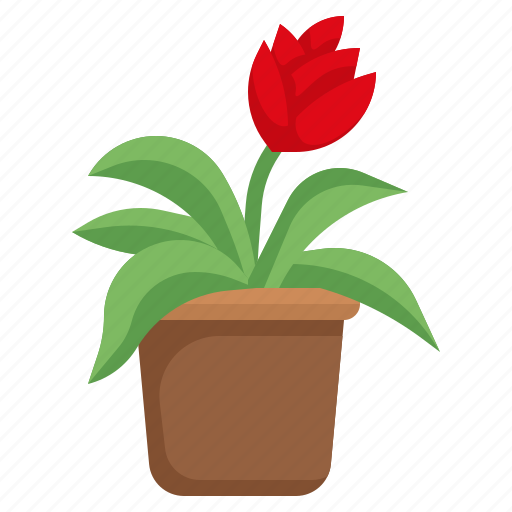 Urn, plant, bromeliad, farming, and, gardening, botanic icon - Download on Iconfinder