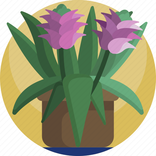 Agriculture, flowers, green, house, leaf, plants, potted icon - Download on Iconfinder