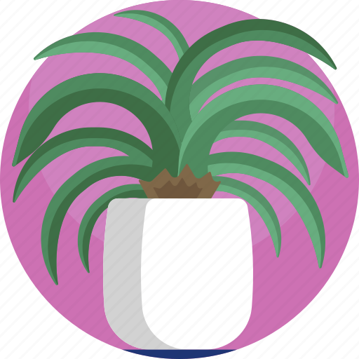 Fern, flora, house, indoor, modern, plants, potted icon - Download on Iconfinder