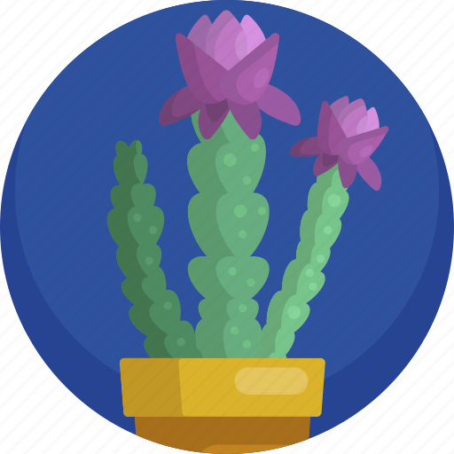 Cactus, decoration, flower, house, illustration, indoor, plants icon - Download on Iconfinder