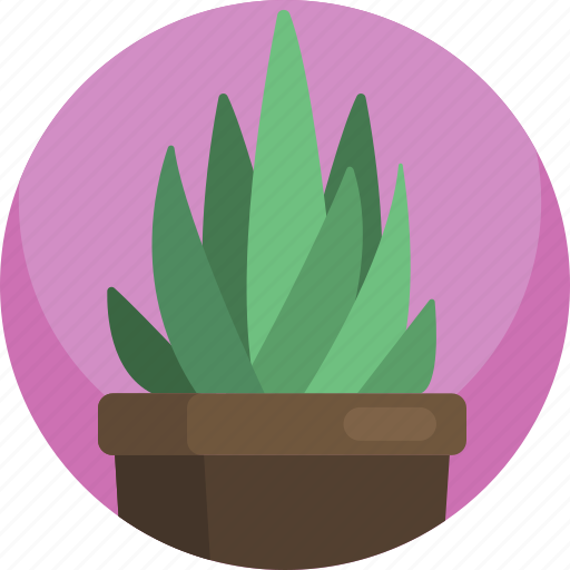 Aloe, green, house, indoor, interior, plants, potted icon - Download on Iconfinder