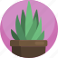 aloe, green, house, indoor, interior, plants, potted 