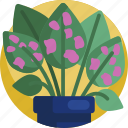 exotic, fern, house, leaf, plants, potted, tropical 