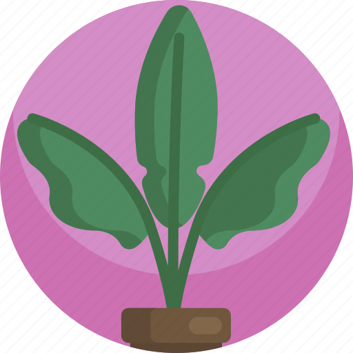 Decoration, fern, green, house, indoor, leaf, plants icon - Download on Iconfinder