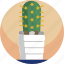 cactus, decorative, house, illustration, modern, plants, vase 