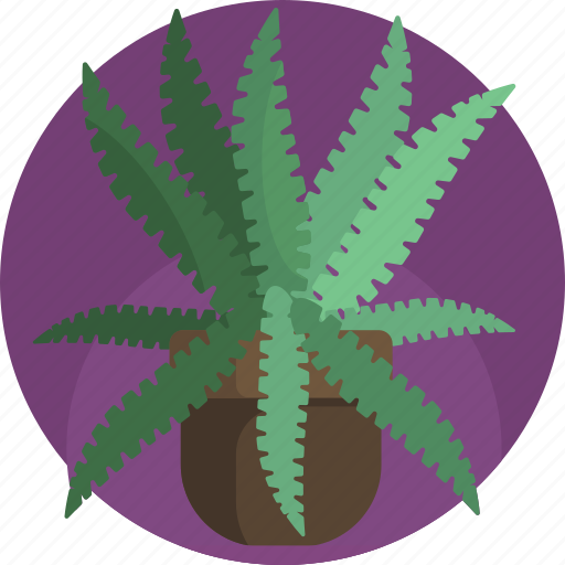 Fern, green, house, leaf, nature, plants, vase icon - Download on Iconfinder