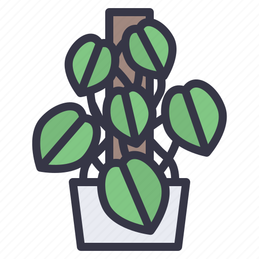 House, indoor, plants, moss, mosspale, pothos icon - Download on Iconfinder