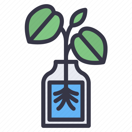 House, indoor, plants, water, hydroponic, propagation, vase icon - Download on Iconfinder