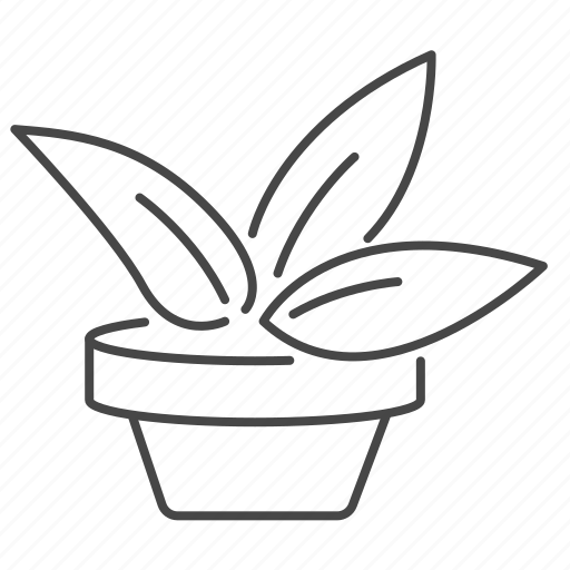 Botanical, plant, epipremnum, epi, amplissimum, pot icon - Download on Iconfinder