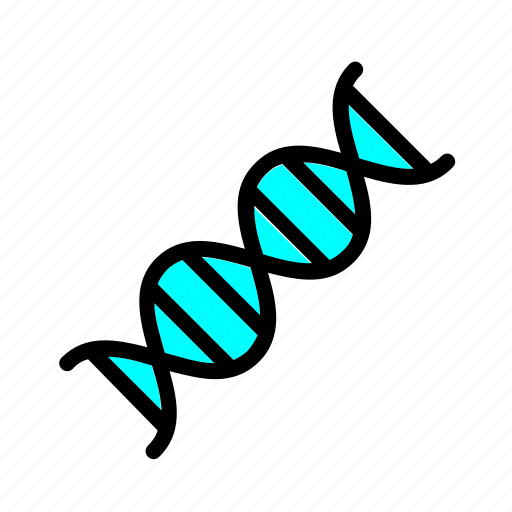 Dna, chromosome, genetic, molecule icon - Download on Iconfinder