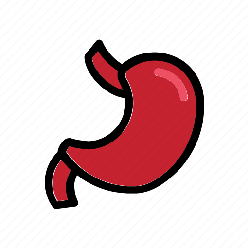 Bounce, human, organ, abdomen, anatomy, digestion icon - Download on Iconfinder