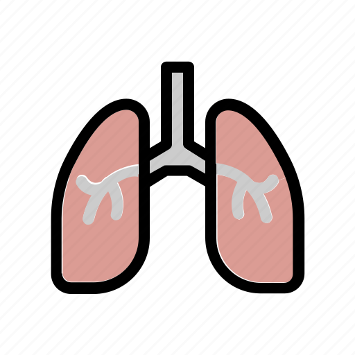 Human, lungs, organ, anatomy, breath icon - Download on Iconfinder