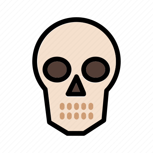 Human, organ, skull, bone, head, skeleton icon - Download on Iconfinder