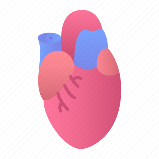 Heart, organ, anatomy, transplant icon - Download on Iconfinder