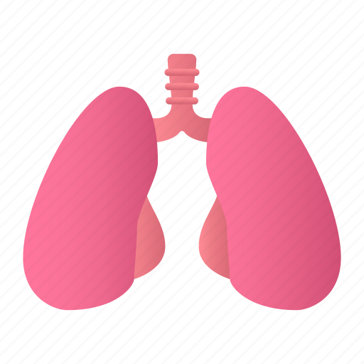 Lungs, breath, anatomy, organ icon - Download on Iconfinder