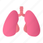 lungs, breath, anatomy, organ 