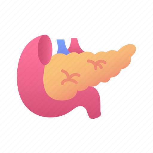 Pancreas, anatomy, human, body, organ icon - Download on Iconfinder
