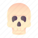 skull, dead, kill, anatomy