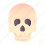 skull, dead, kill, anatomy 