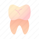 tooth, dentist, dental, human, body