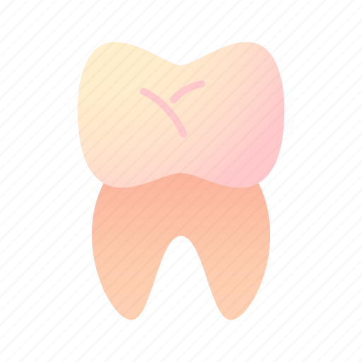 Tooth, dentist, dental, human, body icon - Download on Iconfinder