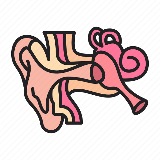 Ear, spiral, organ, human, body icon - Download on Iconfinder