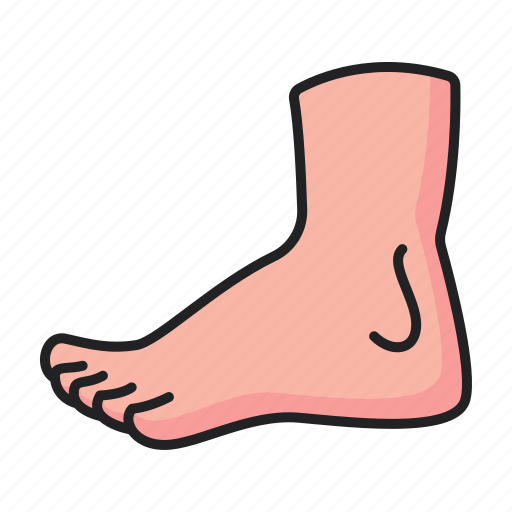 Foot, ankle, leg, body, part icon - Download on Iconfinder
