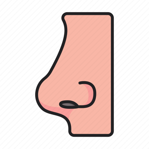 Nose, face, body, part, anatomy icon - Download on Iconfinder