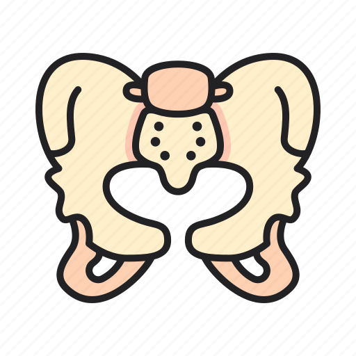 Pelvis, hip, bones, anatomy icon - Download on Iconfinder