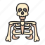 skeleton, body, part, bones, skull 