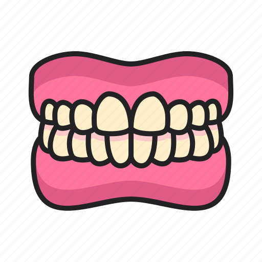 Teeth, gums, tooth, dentist icon - Download on Iconfinder